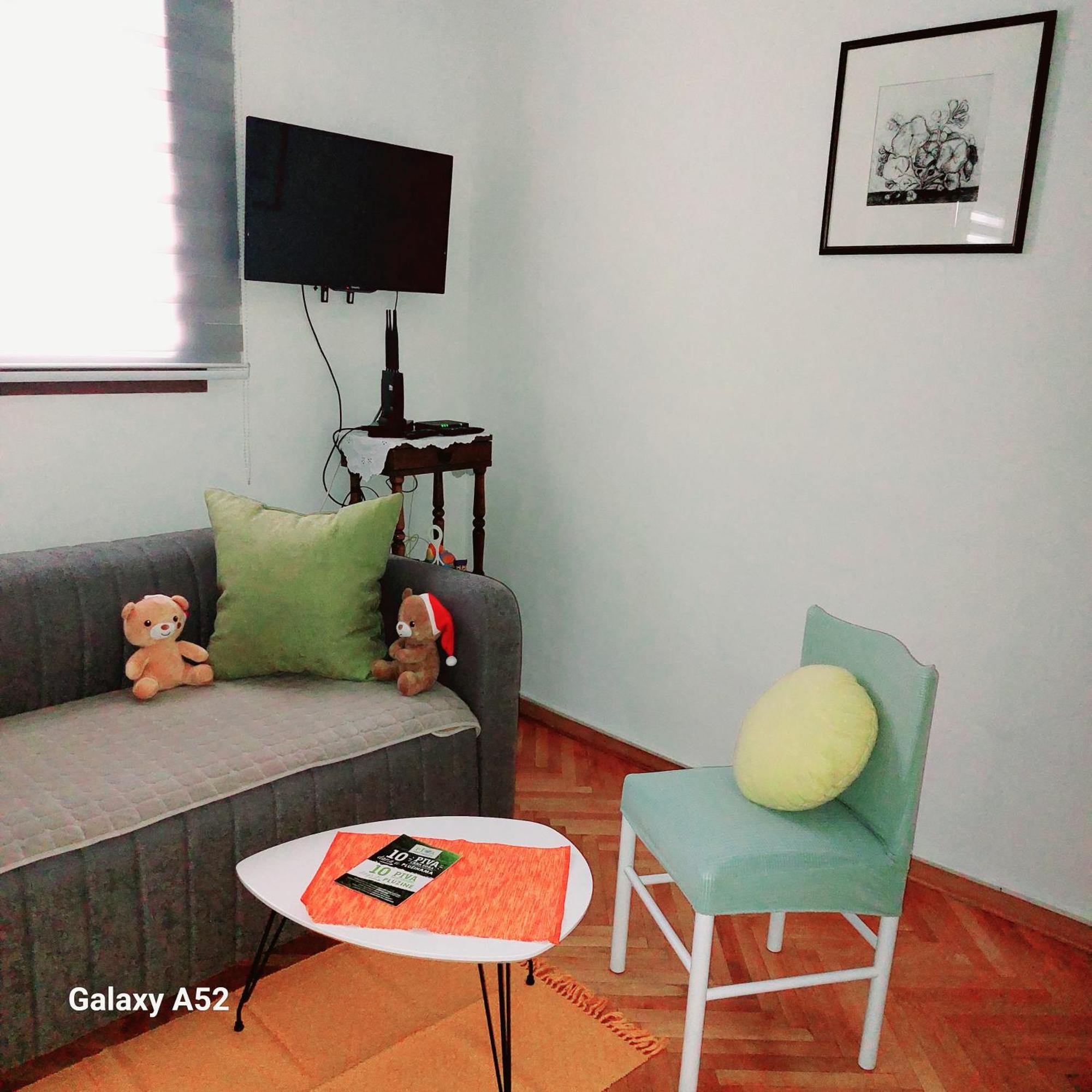 Apartman Pavle Plužine Exterior foto